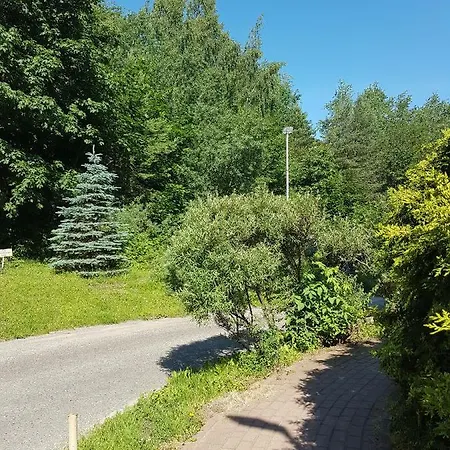 Sloneczna Kawalerka W Centrum Gdyni Gdynia